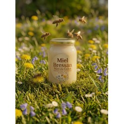 Acheter Miel de Colza 1 kg | Miel Artisanal de la Bresse