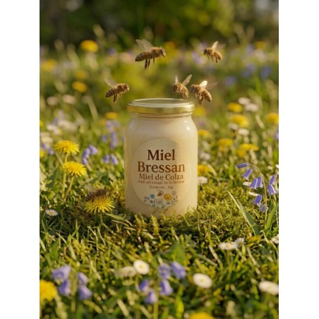 Acheter Miel de Colza 1 kg | Miel Artisanal de la Bresse