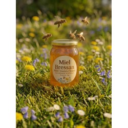 Acheter Miel de Toutes Fleurs 1 kg | Miel Artisanal de la Bresse
